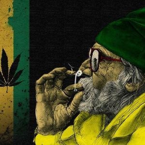 Meet your Posher, Harley